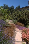 Mediterranean garden
