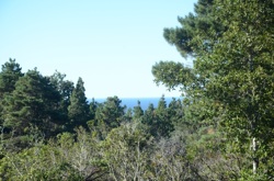 View from Master Bedroom Window