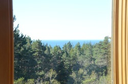 View from Second Floor Window