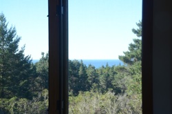 View from Second Floor Library