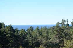 View from Second Floor Bedroom