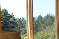 View from Family Room