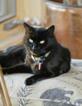 Blackie in 2004