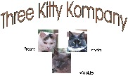 Kompany Logo