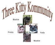 Kommunity Logo