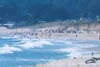 Francis Beach