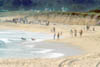 Francis Beach