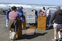WWD2004-10-24 124358.jpg