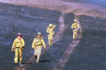 259-33t.jpg