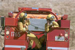 260-5t.jpg