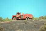 261-31t.jpg