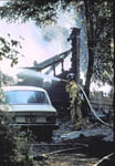 Img0006t.jpg