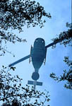 Img0012t.jpg