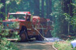 Img0020t.jpg