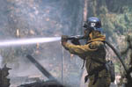 Img0057t.jpg