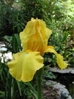 p015010009