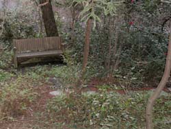 W033250028