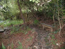 W033250049t