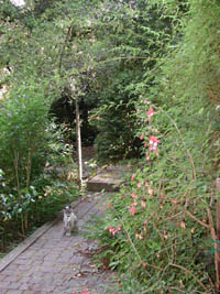gazebo 5