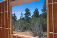 View from bedroom window