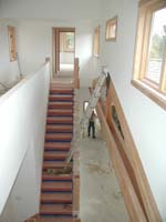 W036050098