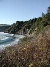 Island Cove Beach 1