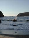 Island Cove Beach 7