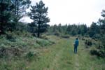 Meadow View 1