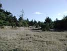 Meadow View 2