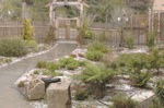 Snow in California