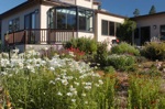 Point Arena gardens