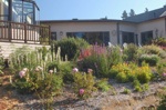 Point Arena gardens