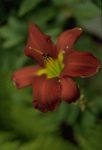 4361-0070t.jpg