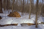 4810-0017t.jpg