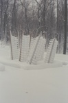 4810-0024t.jpg