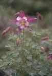 4810-0039t.jpg