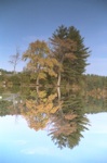4810-0057t.jpg