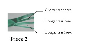 step 4