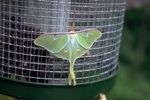 4361-0082-800x600t.jpg