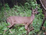 4810-0050-800x600t.jpg