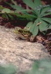 4810-0055-800x600t.jpg