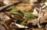 d2004-05-10-114650-800x600t.jpg