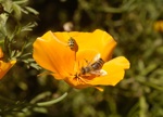 d2004-08-31-120412-800x600t.jpg