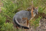 d2007-06-03-151310-800x600t.jpg