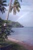 Tropical Rainbow