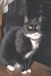 3634-0004tt.jpg