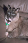 3634-0005tt.jpg