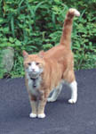3634-0007tt.jpg