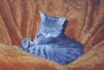3634-0046tt.jpg