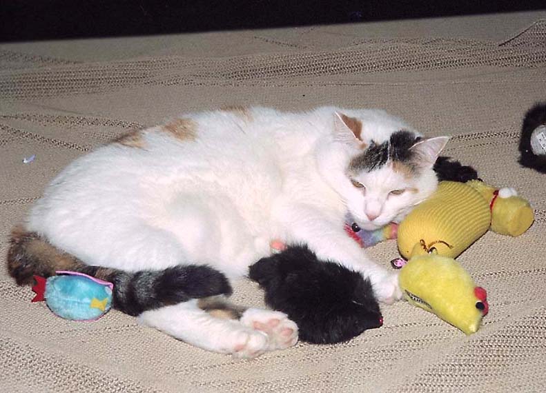 Frosty in 1990